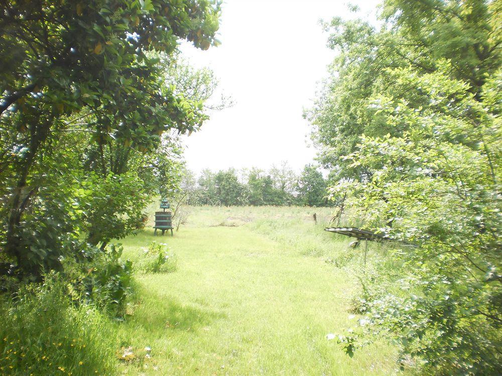 Green Fields Padova Esterno foto